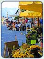Träume vom Staffelsee und den Fewo in Seehausen in Oberbayern werden durch die Bilder von Glentleitn, dem Ausflug nach Andechs oder ins Karwendel greifbar! Anregungen vom Staffelsee, den Ferienwohnungen, zu Reise und Urlaub in Oberbayern, Bilder von Oberammergau, Garmisch, Zugspitze, Ettal, Andechs oder der Wieskirche, vom Hallenbad, Ballonfahrten, Gleitflug, Rafting, Schlauchbootfahrten, Fischerstechen, Fronleichnam,oder dem Musikdampfer. Gasthöfe, Weinlokale oder bayerische Wirtschaften helfen beim Träumen und Wohlfühlen.